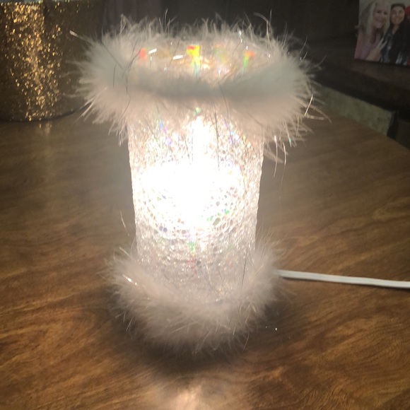 Pretty White Feathers Crackled Silver Table Top Plug in Lamp! - Picture 8 of 14